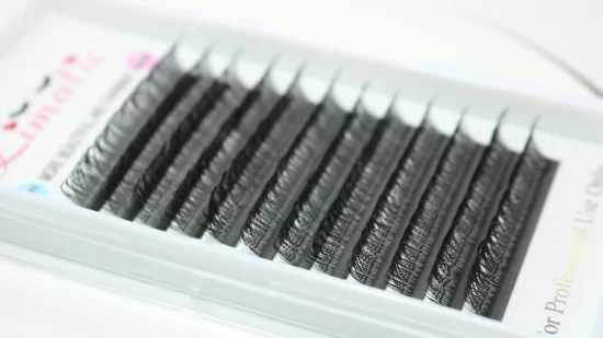 Levi Wimpern 2D Y-Form Wimpernverlängerung Großhandel Yy Lashes 0,05 mm 0,07 mm Yy Lash Extensions Private Label